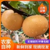 烟台市田润丰果蔬批发的一亩田店铺