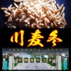 绵阳川生集麦冬的一亩田店铺