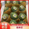 嘉兴博天农业有限公司的一亩田店铺