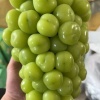 南北果业水果批发供应的一亩田店铺