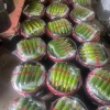 杨秋野的一亩田店铺