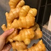 王增财的一亩田店铺