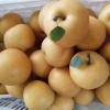 徐州玖茂果业的一亩田店铺