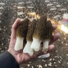 黑龙江一叶农业科技有限公司的一亩田店铺