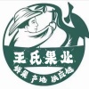 小广水果种植园的一亩田店铺