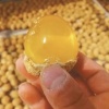 德州市康源副食品加工厂的一亩田店铺