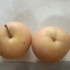 游客7716的一亩田店铺