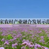 益民丰农民专业合作社的一亩田店铺