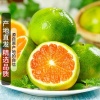 袁玉和的一亩田店铺