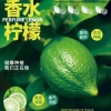 龙杰的一亩田店铺