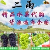 二雨水果代购代发的一亩田店铺