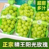 山东佰源果业的一亩田店铺