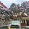 杨伟伟的一亩田店铺