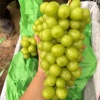 天懿果业的一亩田店铺