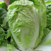 贵州小李蔬菜代办的一亩田店铺