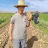 定西市安定区魏世安种植中心的一亩田店铺