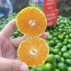 赣州寻乌农乐乐的一亩田店铺