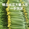 众旺商贸蔬菜交易的一亩田店铺