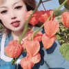 丹姐翰林畜牧养殖场的一亩田店铺