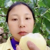 小黄水果种植销售的一亩田店铺