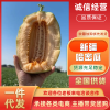 华哥源头果业的一亩田店铺