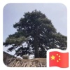 林优绿化工程有限公司的一亩田店铺