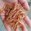 杨丽的一亩田店铺
