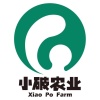 小破农业食用菌产业基地的一亩田店铺