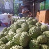 滇之南果蔬的一亩田店铺