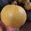 李元华的一亩田店铺