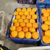 龙哥果蔬代收代办的一亩田店铺
