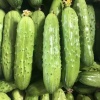 随州放心蔬菜的一亩田店铺