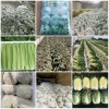 小张高原夏菜诚信代办的一亩田店铺