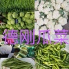 山东青州德刚瓜菜合作社的一亩田店铺