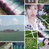 王发荣产地蔬菜水果批发的一亩田店铺