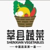 聊城孔令威精品蔬菜代办的一亩田店铺
