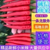 小朱果蔬农产品合作社的一亩田店铺