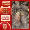 小唐蓝山香芋的一亩田店铺