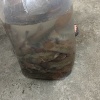 陈武的一亩田店铺