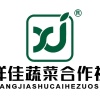 寿光市祥佳果蔬专业合作社的一亩田店铺