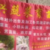 正兴蔬菜育苗基地的一亩田店铺