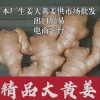 中东姜业果蔬购销的一亩田店铺