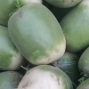 王晓勇的一亩田店铺