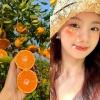 橘妹柑橘果业的一亩田店铺