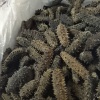 诚信水产品有限公司的一亩田店铺