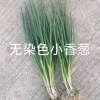 陈金源的一亩田店铺