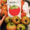 新奇特蔬菜种子的一亩田店铺