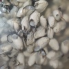 永浩生蚝贝壳类批发的一亩田店铺