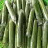 吴富威蔬菜收购部的一亩田店铺