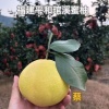 福建水果合作社中心的一亩田店铺